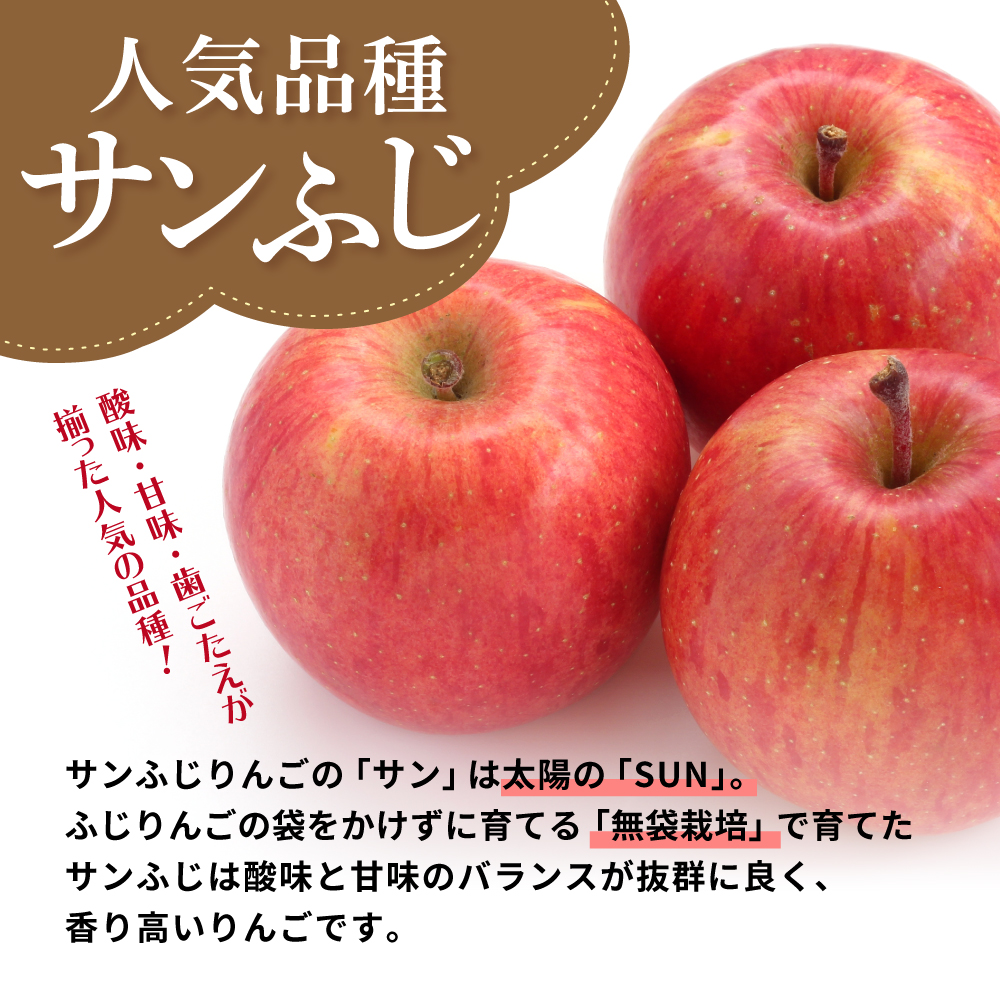 【2026年11月中旬発送】【訳あり】 りんご 3kg サンふじ 青森