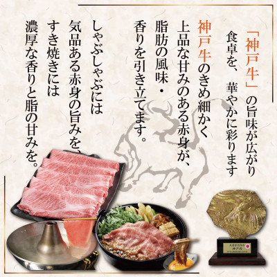 神戸牛(神戸ビーフ)しゃぶしゃぶ・すき焼き用 500g SOS2 【2026年4月より順次発送】【配送不可地域：離島】【1686975】