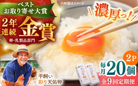 【全9回定期便】彩り天佑卵 20個入り 卵 卵 卵  卵 卵たなべたたらの里[AIDL014]