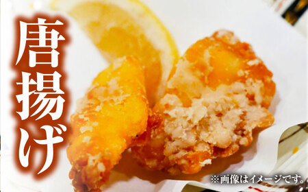 【全6回定期便】【 対馬産 】 天然 クエ 1kg（500g×2）（身のみ）《対馬市》【石川水産】 鍋 水炊き 鮮度抜群 海鮮[WAB025]