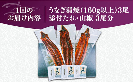 【全12回定期便】福岡県産 うなぎ 蒲焼 大3尾 合計 480 g（1尾あたり 160g以上）[VAD016] 国産 うなぎ