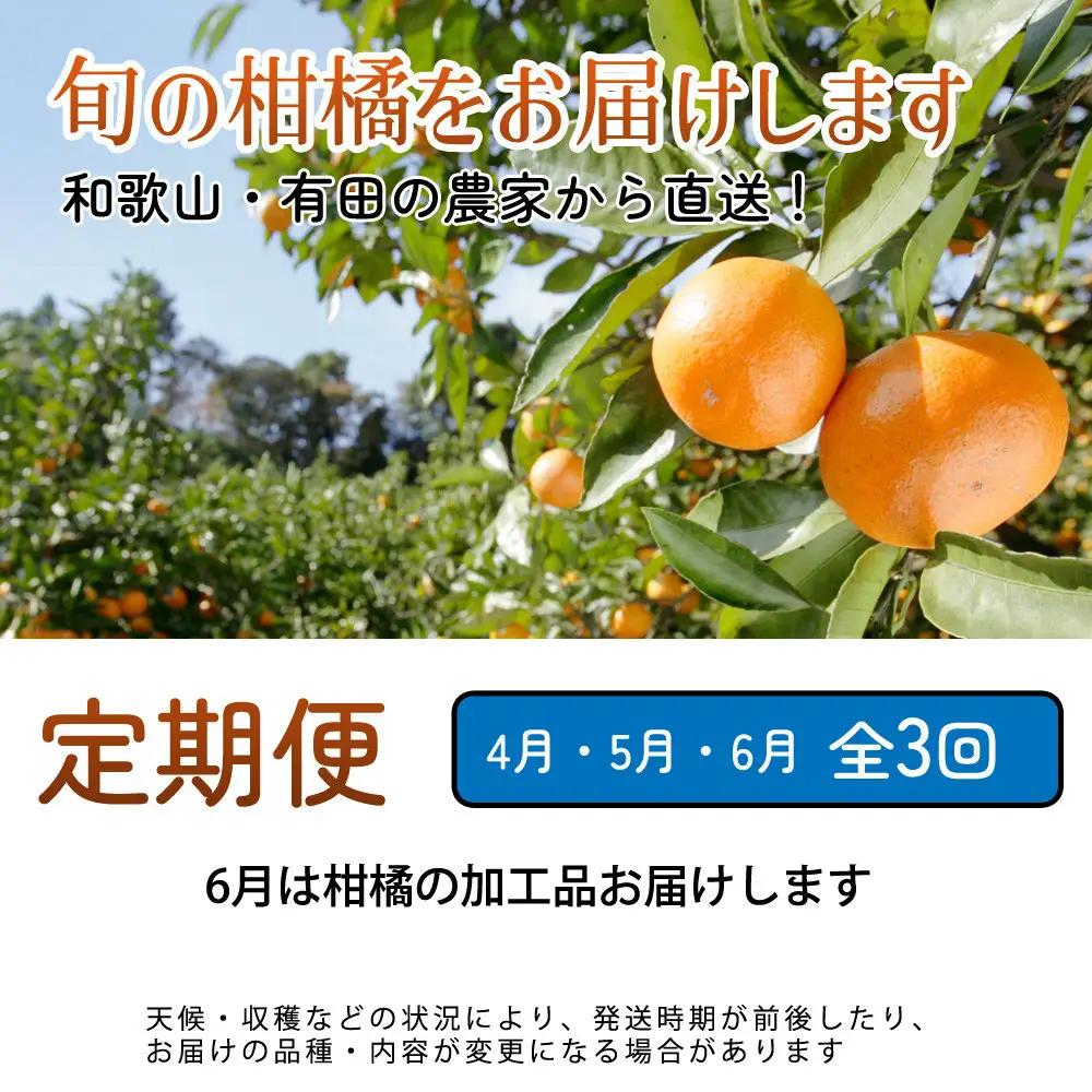厳選 柑橘定期便M（4～6月）全3回 ［IKE296］