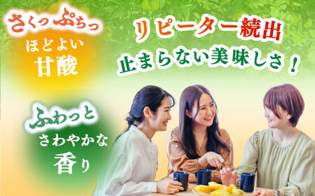 サワーポメロ約5kg 長与町/溝上農園[EBY004]フルーツ 柑橘