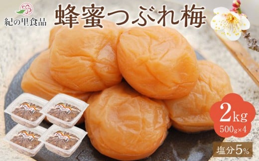 紀州南高梅 蜂蜜つぶれ梅 塩分5％ 2kg (500g×4) ［Kn23］