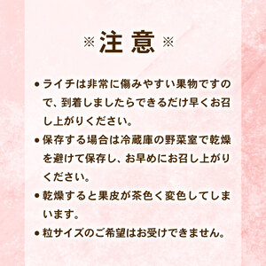 【令和8年6月頃より発送】先行予約 生ライチ 国産 室戸海洋深層水使用 ライチ 果物 フルーツ 化粧箱入り 贈答用