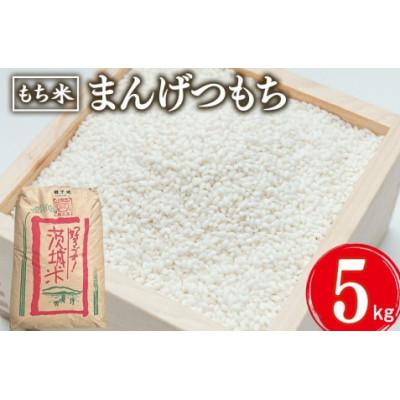 ふるさと納税 石岡市 まんげつもち 精米 5kg