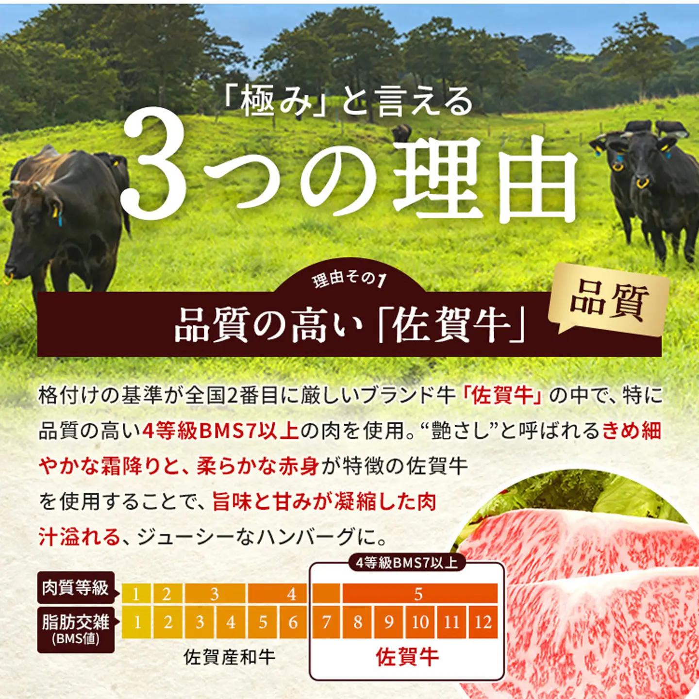 【最短７営業日以内発送】佐賀牛 使用 老舗の贅沢ハンバーグ 極みハンバーグ 150g×12個 _b-349