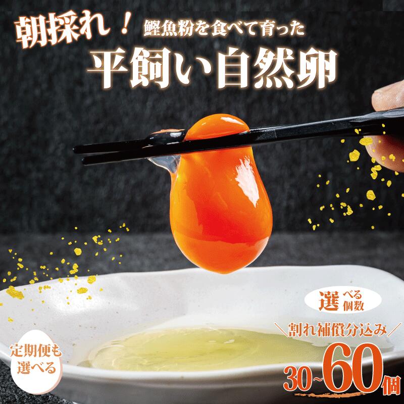 【ふるさと納税】 卵 朝採れ 平飼い 自然卵 鶏卵 生卵 新鮮 【選べる内容量】 30個 60個 定期便 3回 割れ補償付き 産地直送 赤卵 朝ごはん 朝食 卵かけご飯 タマゴ 玉子 玉子焼き 濃厚 贈答 贈り物 ブランド鶏 岡崎おうはん こだわり 人気 おすすめ 送料無料 茨城県 鹿嶋市