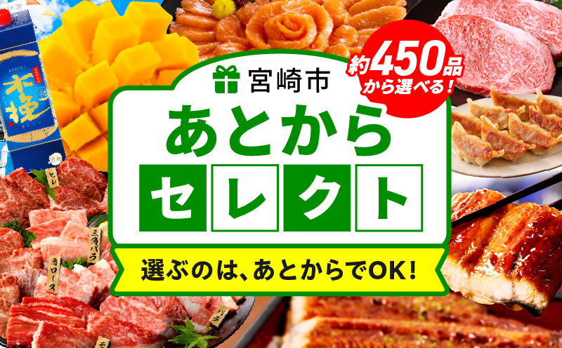 あとからセレクト【ふるさとギフト】4万円_MG-004