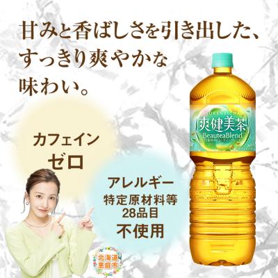 ふるさと納税 恵庭市 爽健美茶2000mlPET×6本【38000702】 |  | 01