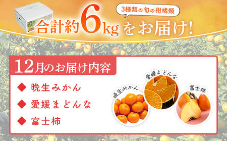 ＜12月発送！旬の柑橘 詰め合わせセット 3種×各2kg＞ 果物 フルーツ みかん ミカン 蜜柑 柑橘 オレンジ マドンナ 晩生みかん 愛媛まどんな 富士柿 かき 特産品 宇都宮物産 愛媛県 西予市【