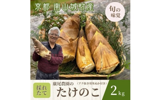 【先行予約 京都 旬の味覚】廣尾農家の朝堀りたけのこ 2kg　京都南山城村産 筍 野菜 タケノコ 京野菜 新鮮 旬 季節限定№5299-0173]