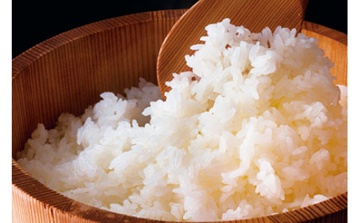 山形の極み 特別栽培米 山形県産 つや姫  米 お米 ブランド米 銘柄米 備蓄 日本米 コメ ごはん ご飯 食品 山形県 F2Y-6653