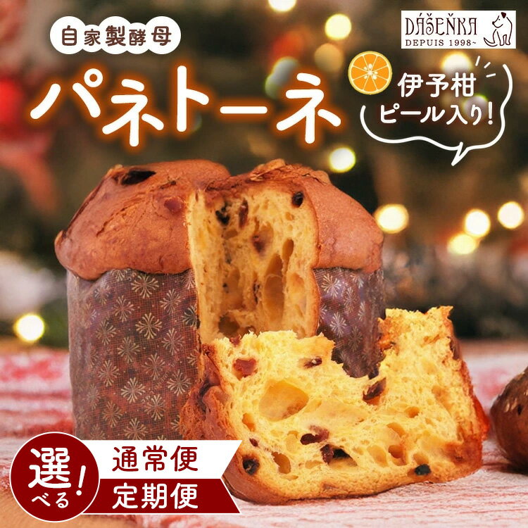 【ふるさと納税】【選べる配送回数】自家製酵母使用のパネトーネ！！ 1個入り 単品・6ヶ月・12ヶ月定期便 ｜ お菓子 おやつ