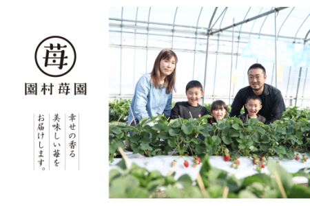 74-32　園村苺園　熊本県宇土産 完熟冷凍いちご「さら苺」６カップ　練乳付き