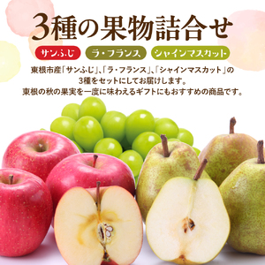【2026年産】東根秋果実満喫セットサンふじ&ラフ&シャイン フルーツ