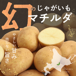 【先行受付】【2025年9月下旬より配送予定】北海道十勝芽室町 幻の じゃがいも マチルダ 5kg キャンプ 飯 BBQ アウトドア ソロキャン 登山 芋 ジャガイモ 越冬 美味しさに 訳あり ポテト