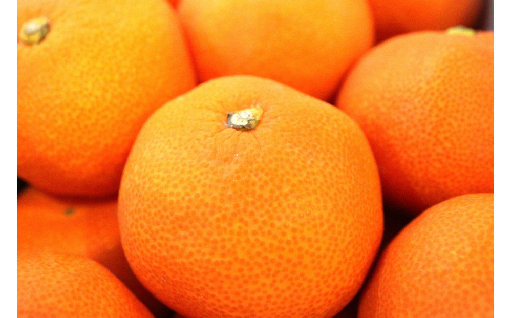 【瀬戸内マルシェが選ぶ】ハウスさぬき紅みかん　訳あり約１kg（2027年６月中旬より発送）