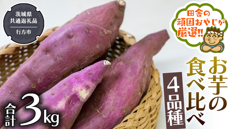 お芋 の 食べ比べ 4品種（3kg） 【2024年10月から発送開始】（茨城県共通返礼品 [さつまいも]：行方市産） さつまいも 芋 いも 野菜 べにはるか 紅あずま シルクスイート 紫芋 [BI416-NT]