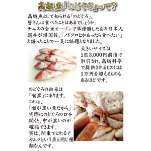 のどぐろ 開き 干し 3枚 詰め 小サイズ 下関 山口  AU408