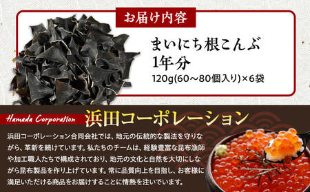 まいにち根こんぶ 1年分 生産者 支援 応援