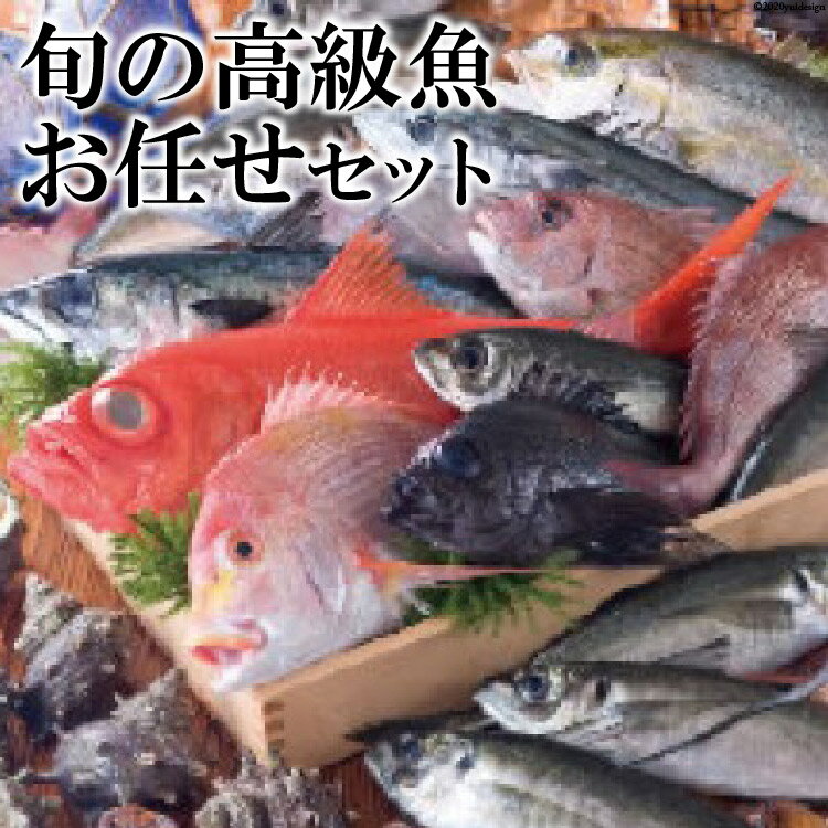 【ふるさと納税】 旬の高級魚お任せセット / 田中鮮魚店 / 長崎県雲仙市