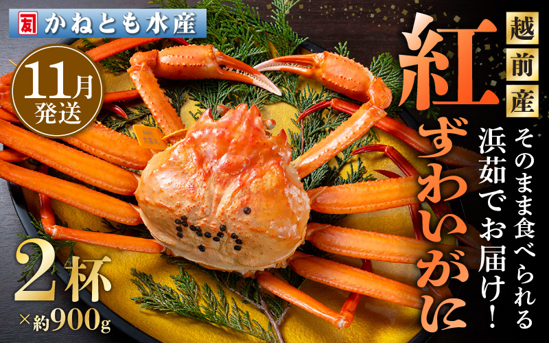 
            ≪浜茹で≫越前産 紅ずわいがに 約900g × 2杯 食べ方しおり付【紅ズワイガニ カニ かに 蟹 姿 ボイル 冷蔵 福井県】【11月発送分】希望日指定不可 [e14-x001_11]
          