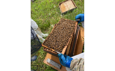 南農園　国産天然はちみつ1KG（非加熱）