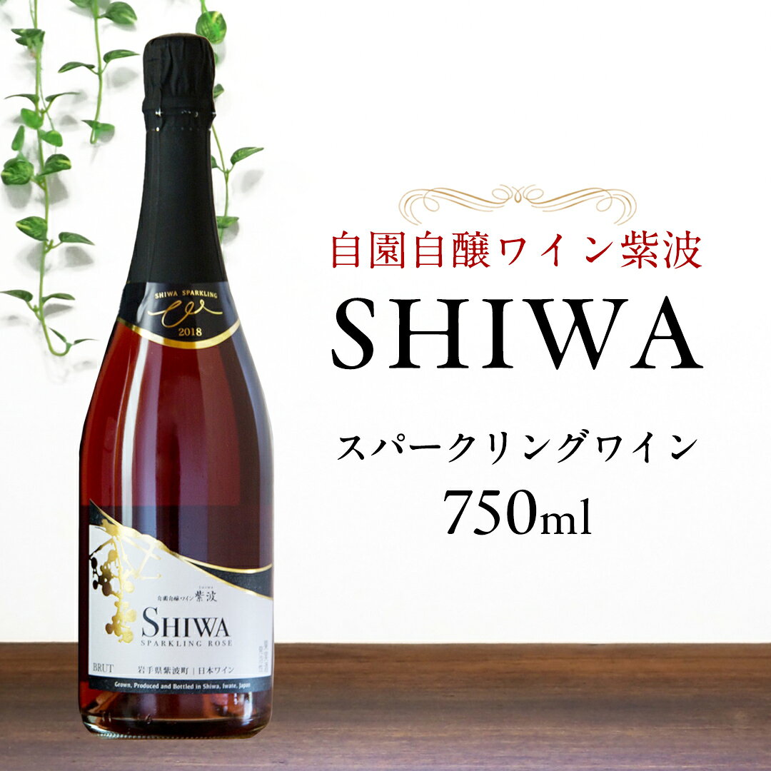【ふるさと納税】 産地限定 ワインぶどう品種使用 スパークリングワイン【自園自醸ワイン紫波】 ふるさと納税 紫波町産 テロワール ワイン (AL064-1)