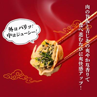 ふるさと納税 宇都宮市 宇都宮餃子 運気アップ餃子青じそ鶏餃子18個　保存料不使用 |  | 01