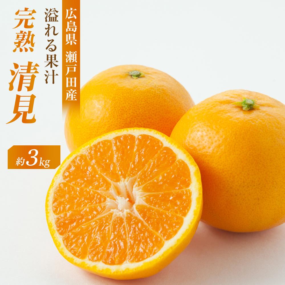 【ふるさと納税】めっちゃジューシー　完熟清見3kg　＜2026年3月下旬より発送開始＞ | 広島県尾道市 広島県 尾道市 広島 尾道 ふるさと 納税 支援 ミカン みかん 蜜柑 フルーツ 果物 完熟 青果 柑橘