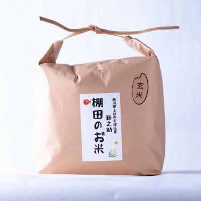 ふるさと納税 上越市 雪むろ棚田米新之助 2kg 玄米 |  | 01