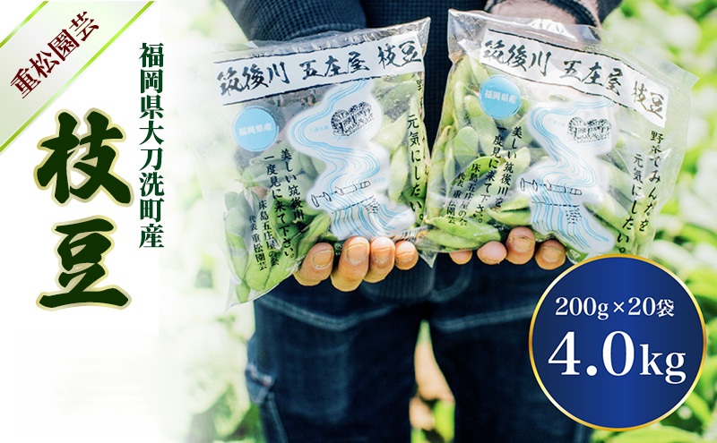 枝豆 【2027年6月発送】枝豆200g×20袋 合計4kg 福岡県大刀洗町産 豆 えだまめ 焼き枝豆 お弁当 おつまみ ※配送不可:北海道・沖縄・離島