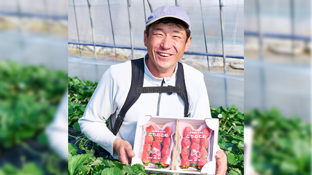 【12/17までの申込で年内にお届け！】 完熟 とちおとめ 約260g×4パック 年内お届け 国産 いちご イチゴ 苺 果物 フルーツ 茨城県産 KEK[BC080sa]