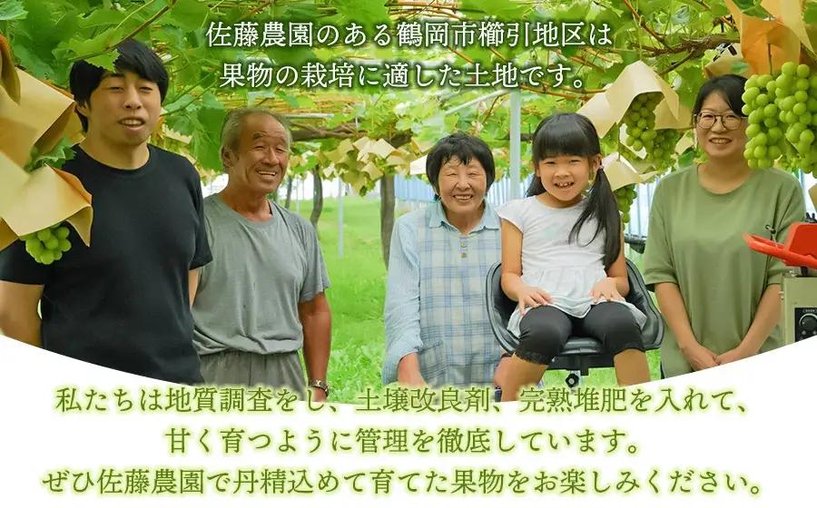 【令和8年産先行予約】 シャインマスカット・ピオーネ (各2房ずつ) 約2kg　佐藤農園