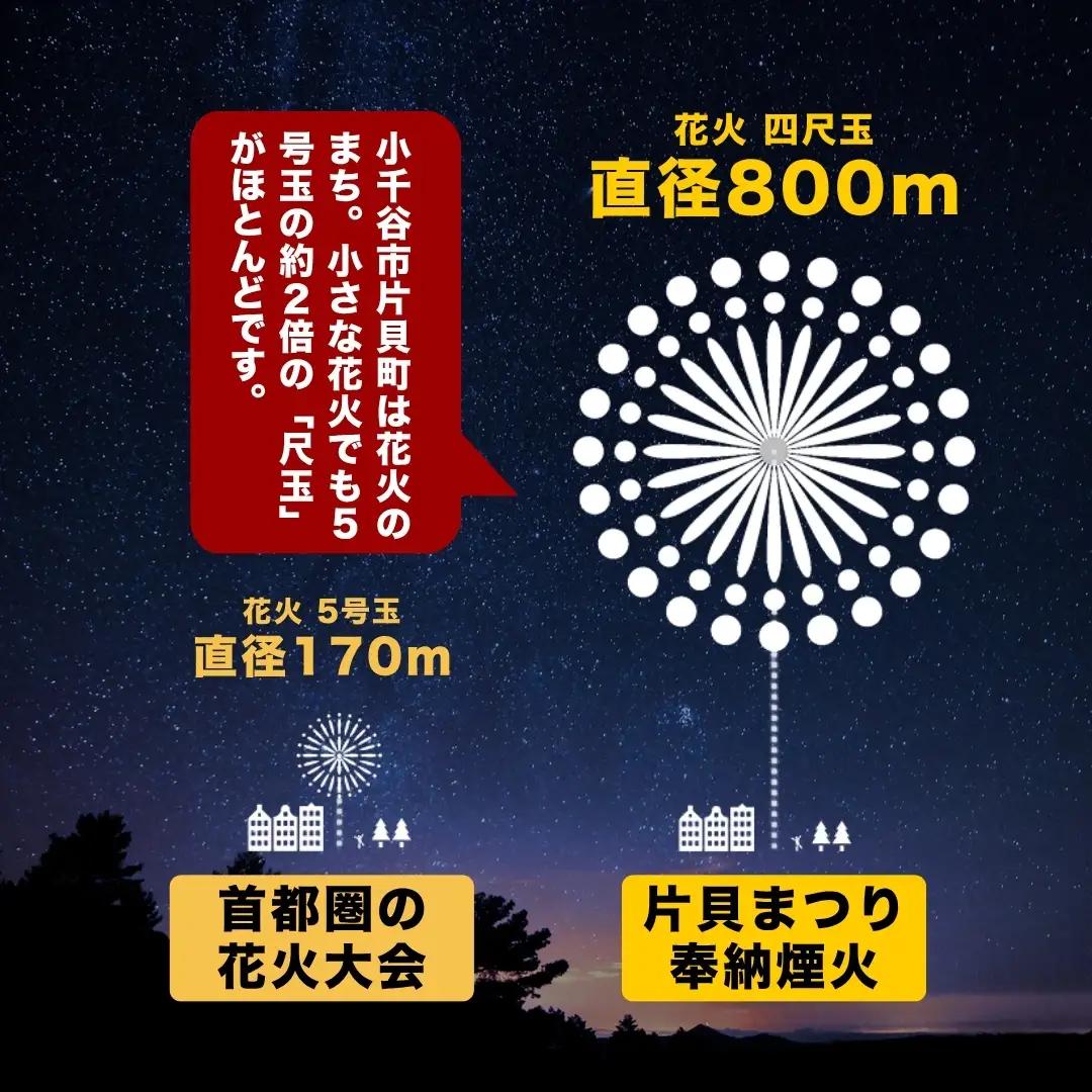 【先行予約 令和8年9月12日(土)】世界一を体感！片貝まつり花火大会 桟敷席チケット (1名様分) | 花火 新潟県 小千谷市