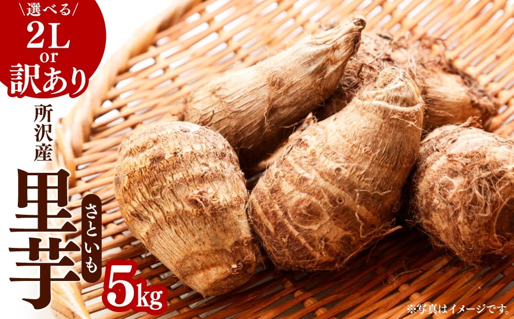 
                  里芋 5kg 種類が選べる | さといも サトイモ 芋 いも イモ 根菜 野菜 芋煮 煮物 煮込み 味噌汁 みそ汁 揚げ物 揚物 料理 鍋 和食 新鮮 掘りたて ねっとり 国産 産地直送 季節限定  マル九農園 埼玉県 所沢市
                
