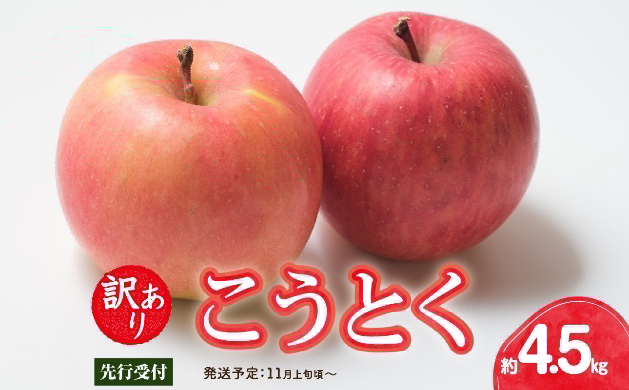 
                  《先行受付》訳ありこうとく約4.5kg【2026年11月上旬～発送予定】【大江町産・山形りんご・りんご専科 清野】 【015-063】
                