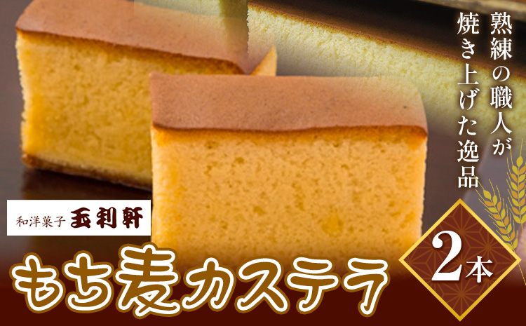 もち麦カステラ 2本 株式会社玉利軒《30日以内に出荷予定(土日祝除く)》岡山県 笠岡市 カステラ もち麦 お土産 和菓子 手土産 送料無料 冷蔵配送---T-09_cool---