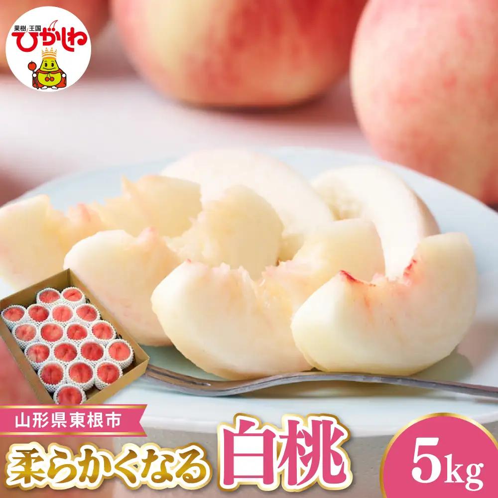 【2026年産】東根産 白桃 秀品 柔らかくなる桃 約5kg 白桃 桃