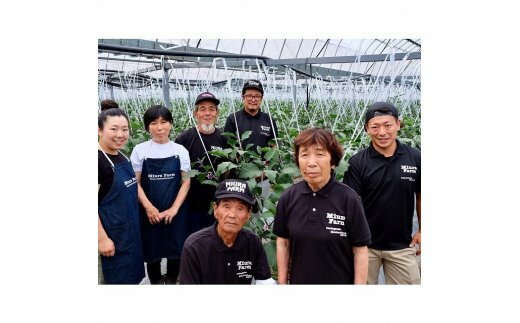 【無添加】水なす 米ぬか漬け 6個【新鮮 野菜 泉佐野産 茄子 やさい 高評価 数量限定 先行予約】 010B142_イメージ2