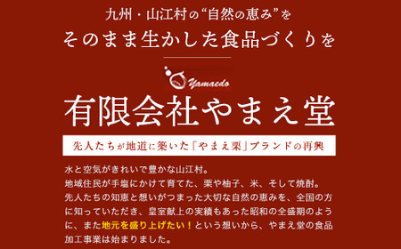 熊本県山江村産 やまえ栗きんとん5本セット 有限会社 やまえ堂 《60日以内に出荷予定(土日祝除く)》