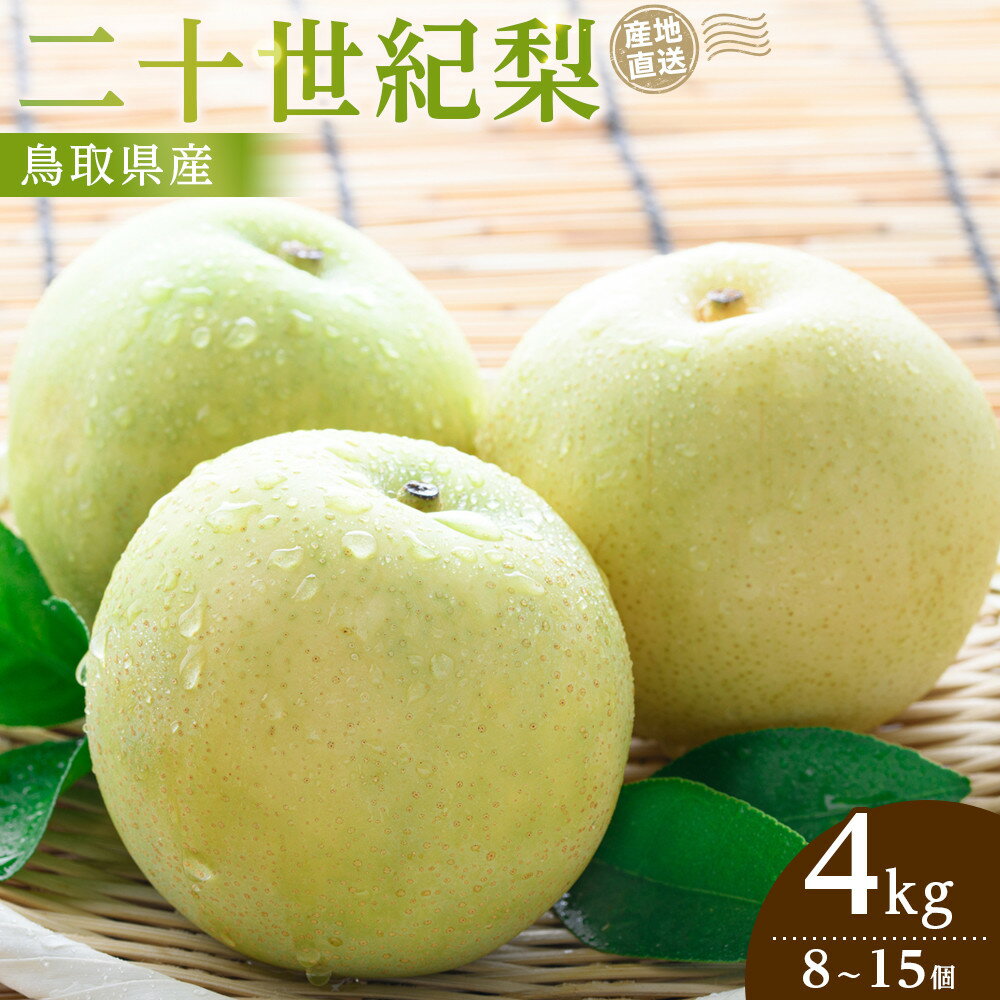 【ふるさと納税】【2026年9月発送】二十世紀梨 4kg | 先行予約 梨 なし 果物 フルーツ 4キロ 鳥取県産 北栄町 おすすめ 人気