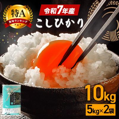 ふるさと納税 笠間市 令和7年産 コシヒカリ 精米10kg 特A 茨城県笠間市