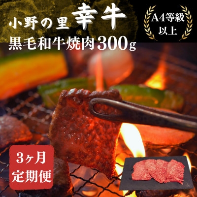
                  ＜毎月定期便＞＜小町の里・幸牛＞黒毛和牛焼肉 300g全3回【4068845】
                
