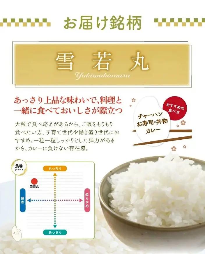 SB1056　1月下旬配送／令和8年産【無洗米】雪若丸　10kg(5kg×2袋) 農家直送 HO
