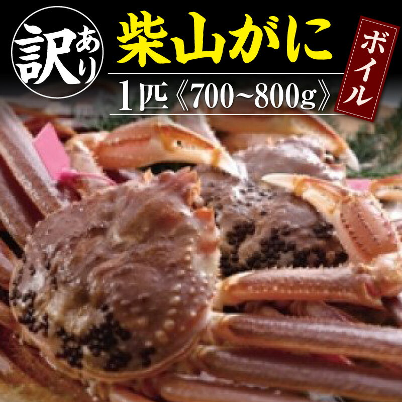 【ふるさと納税】《訳あり》 ボイル 柴山がに 冷凍 700g～800g 1匹 【令和8年11月上旬以降発送予定】 松葉がに 番がに 松葉ガニ 松葉かに 松葉蟹 浜茹で 茹で かにみそ かにすき かに鍋 かにしゃぶ かに カニ 蟹 国産 ズワイガニ 香住 規格外 傷 汚れなど 04-07 送料無料
