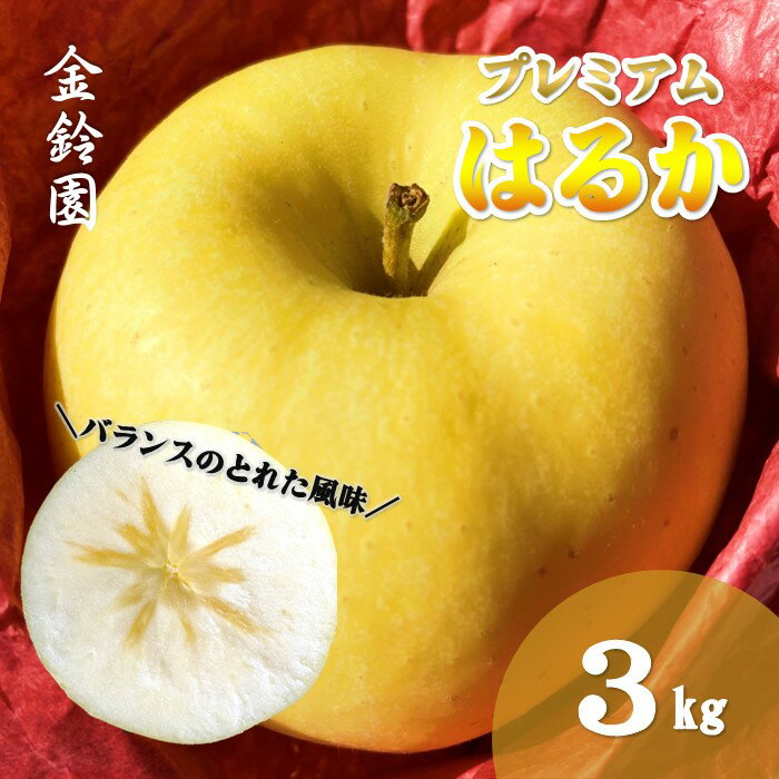 【ふるさと納税】＼予約受付 11月下旬より発送開始予定／【 北上市産 りんご 】プレミアムはるか 【厳選玉】 3kg (約9〜12玉) 国産 林檎 リンゴ はるか 果物 フルーツ 産地直送 旬 秋 冬 季節限定 金鈴園 岩手県 北上市 D0448