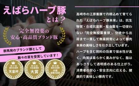 餃子 国産 無添加 かかぁのぎょうざ 120個 餃子
