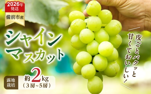 【2026年発送分　先行予約開始！】びぜん葡萄「シャインマスカット」（露地栽培）約2kg入（令和8年9月上旬～10月中旬頃発送）【先行受付 先行予約 岡山県備前市産 シャインマスカット 露地栽培 約2kg（3～5房目安）樹上完熟】